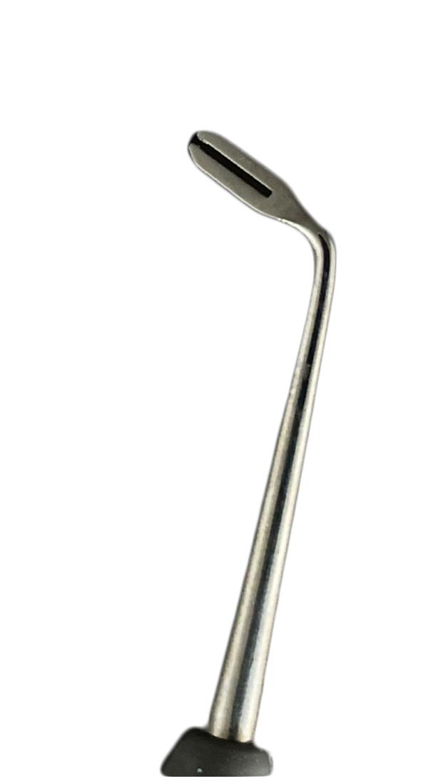 Posterior-M - Image 2