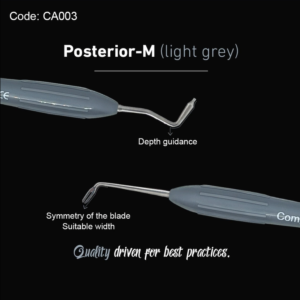 Posterior-M