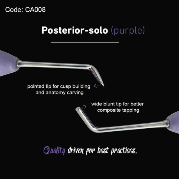 Posterior-S