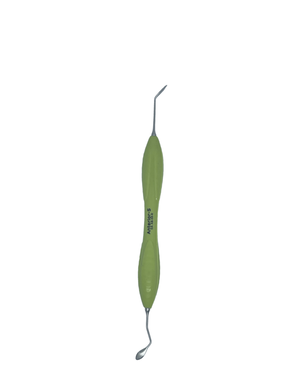 Anterior-S - Image 8