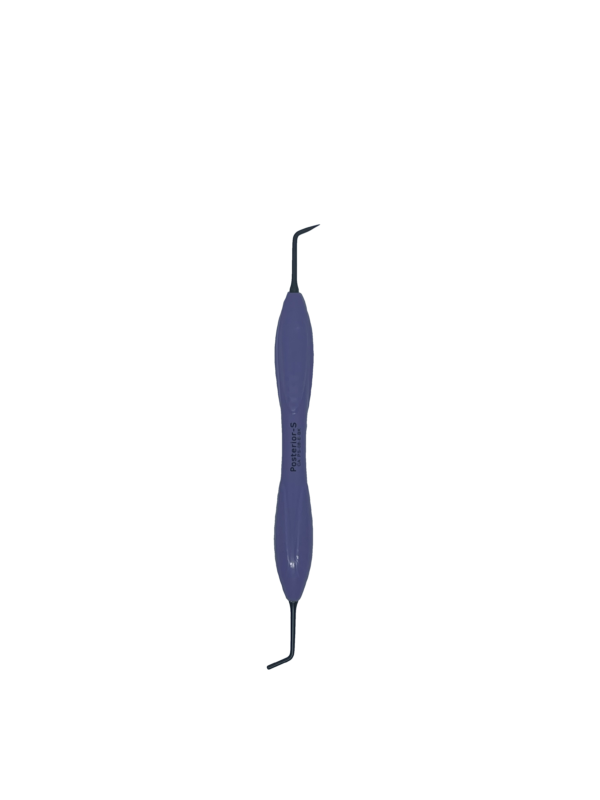 Posterior-S - Image 9
