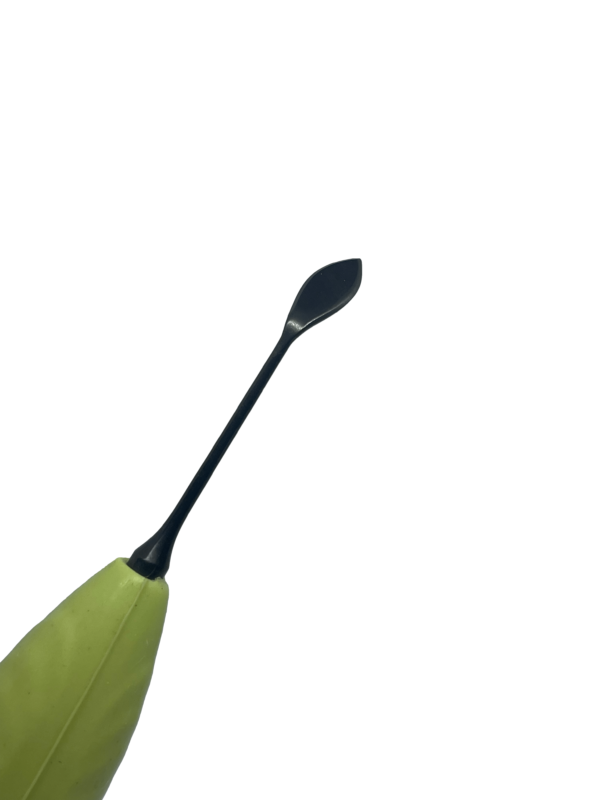 Anterior-S - Image 5
