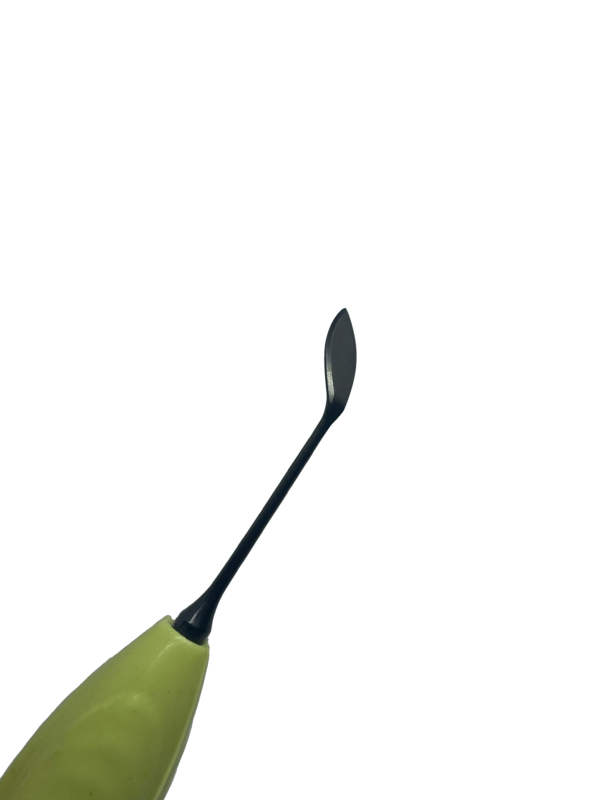 Anterior-S - Image 3