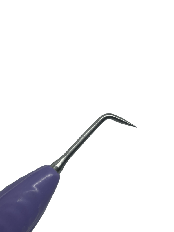 Posterior-S - Image 4