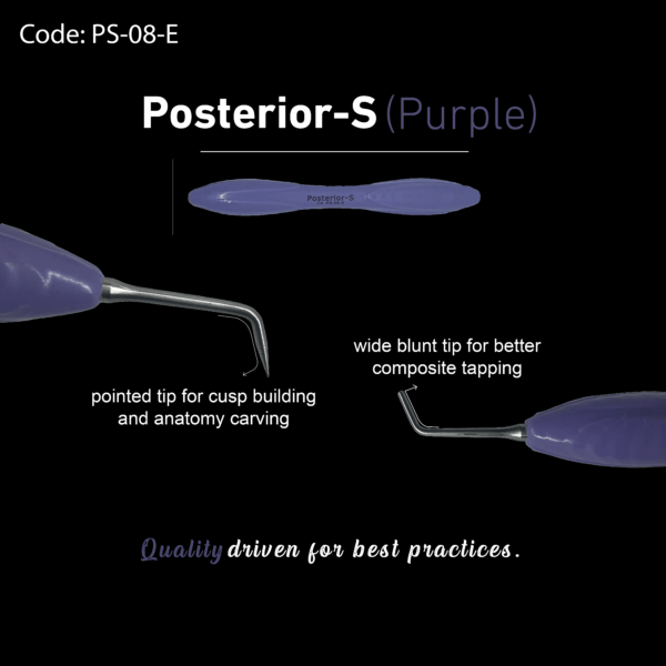 Posterior-S - Image 11