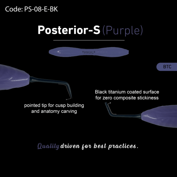 Posterior-S - Image 10